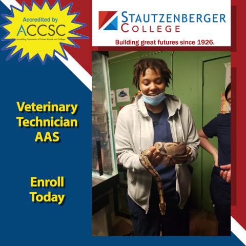 Veterinary Technician Student Experiences